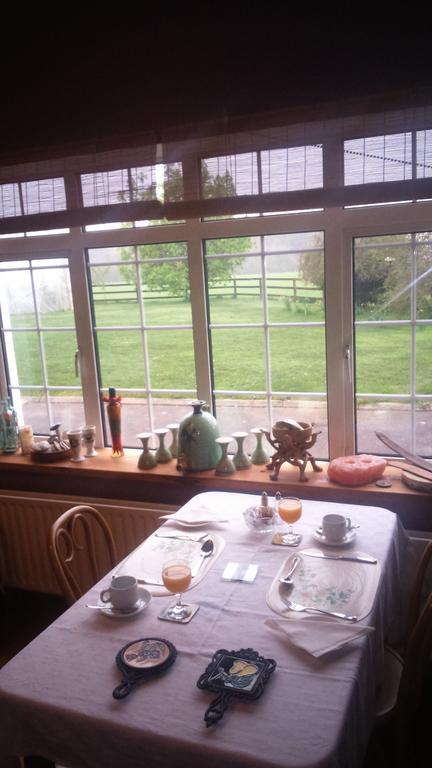 Aurora House Bed And Breakfast Athy Ngoại thất bức ảnh